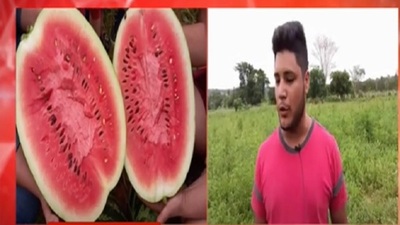 Santa Rosa Misiones: Familia cultivó mil plantas de sandía | Noticias Paraguay