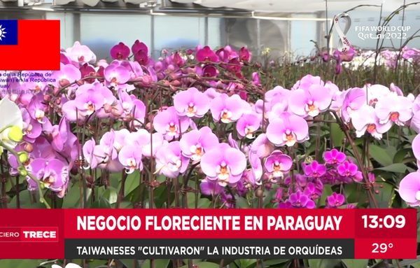 Taiwaneses desarrollaron la industria de las orquídeas en Paraguay