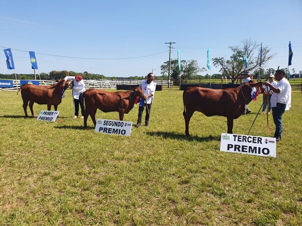 José Godoy Codas logró el Gran Campeón macho y hembra Senepol