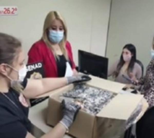 Detectan cocaína en fajas con destino a Europa - Paraguay.com