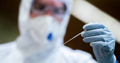 La Nación / COVID-19: Austria prevé aprobar el confinamiento de personas no vacunadas