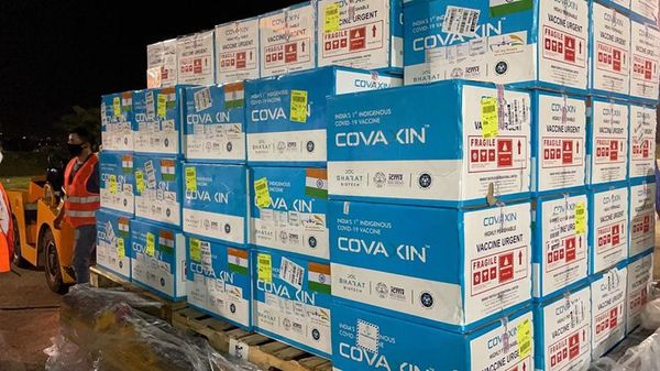 Ministerio de Salud suma a su stock 400.000 vacunas indias Covaxin para plan contra el COVID - Nacionales - ABC Color