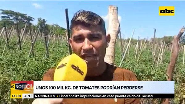Unos cien mil kilos de tomates podrían perderse - ABC Noticias - ABC Color