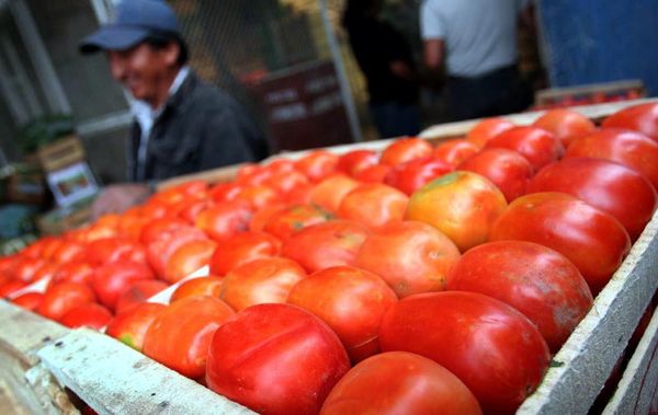 Evalúan acciones para mejorar la producción y comercialización frutihortícola del Paraguay