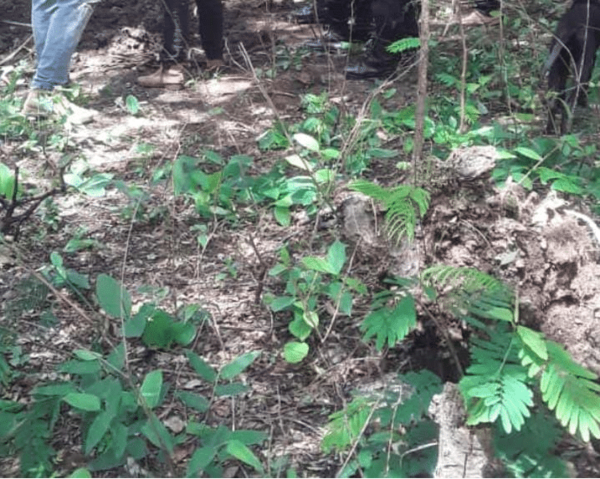 Hallan cadáver en una zona boscosa en Pedro Juan Caballero | Ñanduti