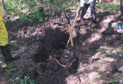 Hallan cuerpo en fosa común en Pedro Juan Caballero - Noticiero Paraguay