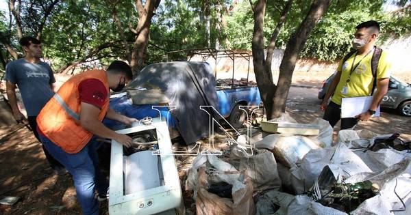 La Nación / Preocupante índice de proliferación larvaria en Asunción y Central