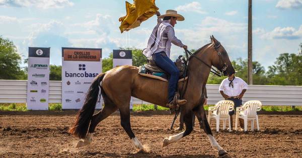 La Nación / Arrancó la competencia de doma de los caballos criollos en el Chaco