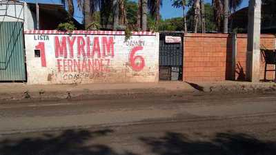 Concejala pretende que municipalidad limpie la basura electoral que ella dejó » San Lorenzo PY