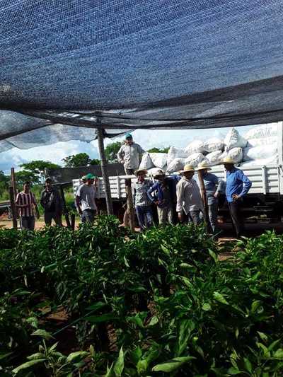 Productores de Loreto, envian locote a Asunción