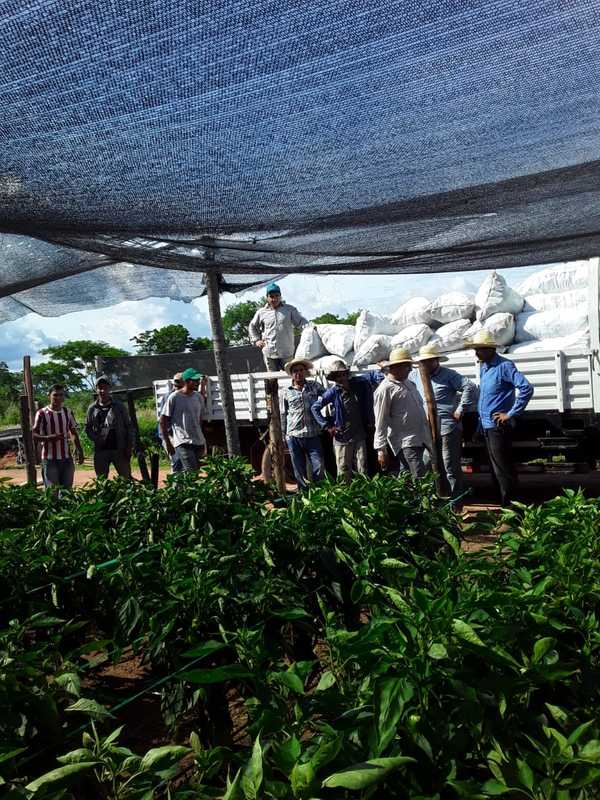 Productores de Loreto, envian locote a Asunción