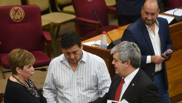 Riera se prepara para ir a la OEA y Villalba lo reemplazará