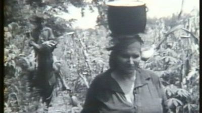 Interrogantes y búsquedas en Viaje en la memoria y el olvido