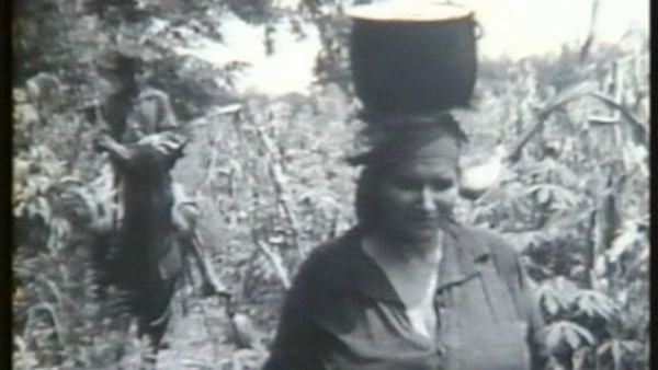 Interrogantes y búsquedas en Viaje en la memoria y el olvido