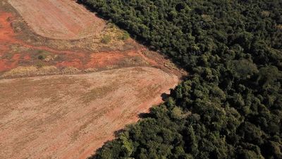 La Amazonia está por entrar en un punto de no retorno