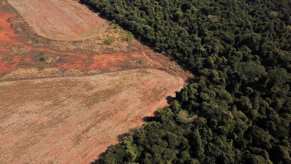 La Amazonia está por entrar en un punto de no retorno