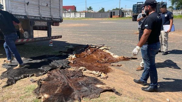Incautan 1.500 cueros de contrabando que iban a PJC