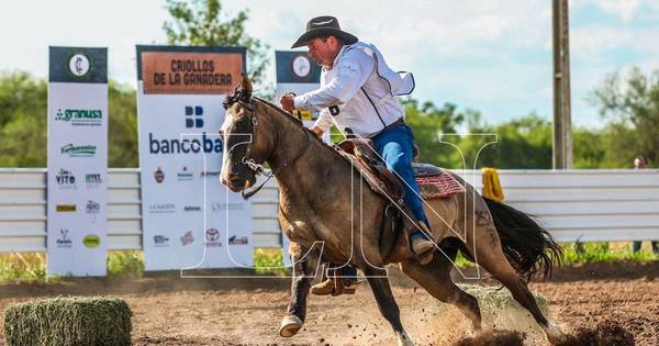 La Nación / Arrancó la competencia de doma con caballos criollos en el Chaco