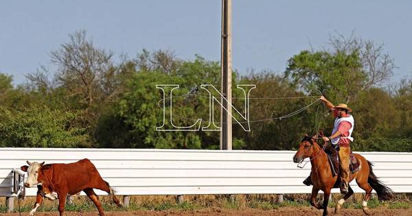 La Nación / Segundo día del Concurso Criollo cierra con competencia de lazo