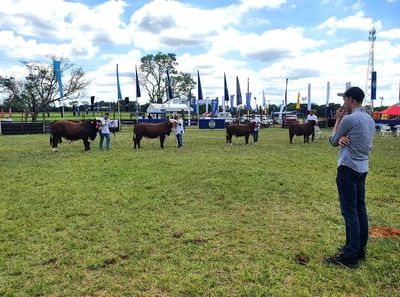 Expo Guairá inyecta unos 500.000 dólares a la economía