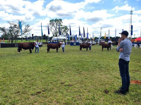 Expo Guairá inyecta unos 500.000 dólares a la economía