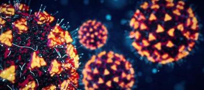 Cómo las variantes del coronavirus evaden la acción de las enzimas defensoras – Prensa 5