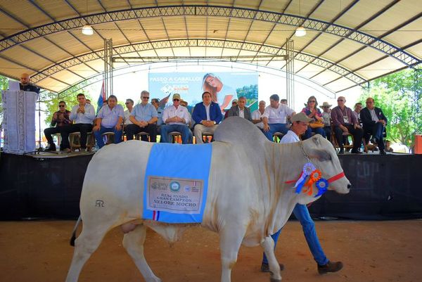 Lamentan “impunidad” del contrabando en inauguración de la Expo Guairá 2021 - Nacionales - ABC Color