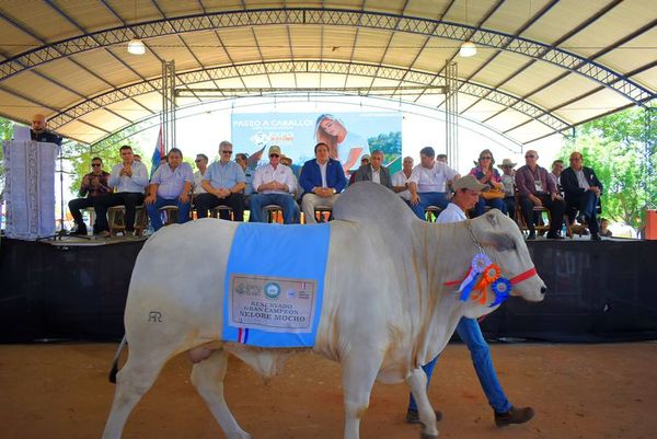 Lamentan “impunidad” del contrabando en inauguración de la Expo Guairá 2021 - Nacionales - ABC Color