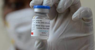 La Nación / Confirman eficacia de vacuna india Covaxin contra el COVID