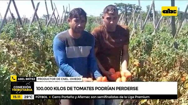 Tomates en crisis, unos 100.000 kilos podrían perderse - Enfoque económico - ABC Color