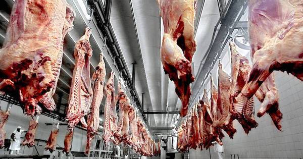 La Nación / En Brasil se hacen eco de los buenos números de exportación de carne paraguaya