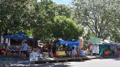 Mujer lesionada por caída de rama en zona del Mercado 4