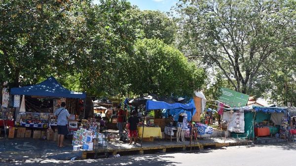Mujer lesionada por caída de rama en zona del Mercado 4