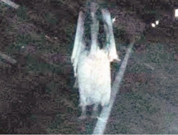 Crónica / “LA LLORONA”. La historia de “La mujer de blanco”
