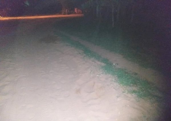 Crónica / ¿Mató a su padre en la calle tras discusión?
