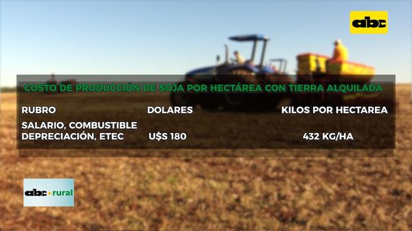 Costo de producción en soja en campo alquilado - ABC Rural - ABC Color