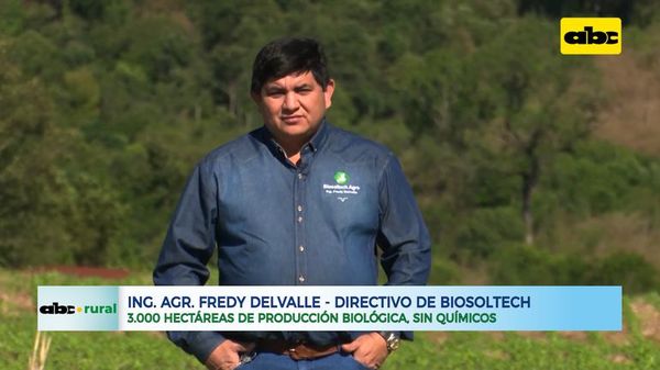 3.000 hectáreas de producción agrícola totalmente biológica, sin químicos - ABC Rural - ABC Color