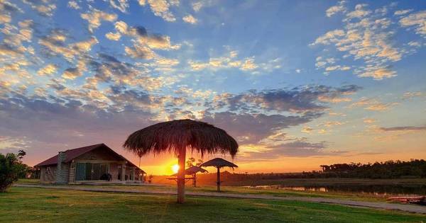 La Nación / Tranquilidad a orillas del lago Yguazú
