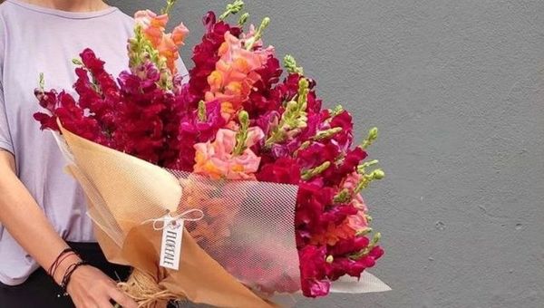 Floreale: la firma de una joven que apostó al cultivo y comercialización de flores de corte