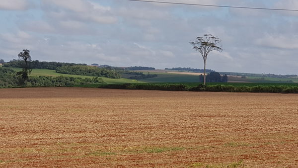 METEOROLOGÍA ANUNCIA DÍA CÁLIDO A CALUROSO Y CON CHAPARRONES - Itapúa Noticias