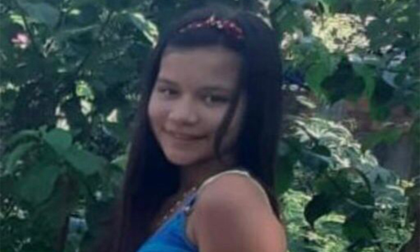 Se busca a niña desaparecida en la zona de Los Nogales de San Lorenzo - OviedoPress