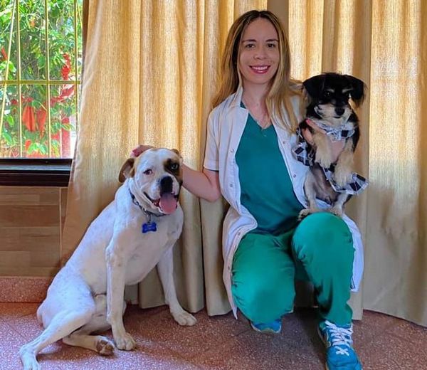 El verano paraguayo y nuestras mascotas - Nacionales - ABC Color