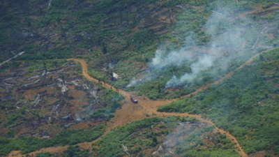 Bolsonaro dice a inversores en Dubái que la Amazonía "no se incendia" al ser "un bosque húmedo" – Prensa 5