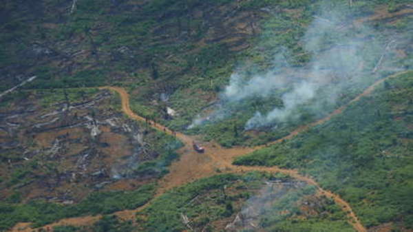 Bolsonaro dice a inversores en Dubái que la Amazonía "no se incendia" al ser "un bosque húmedo" – Prensa 5