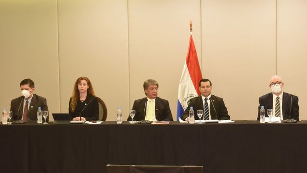 Comité Paraguayo de Energía resalta la importancia de ampliar matriz energética
