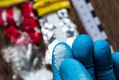 Confiscan una tonelada de cocaína de Latinoamérica a la ‘Ndrangheta en Italia - Mundo - ABC Color