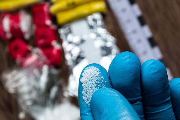 Confiscan una tonelada de cocaína de Latinoamérica a la ‘Ndrangheta en Italia - Mundo - ABC Color
