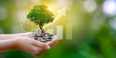 Banco apuesta a “productos verdes” y se suma a iniciativas de desarrollo sostenible - MarketData