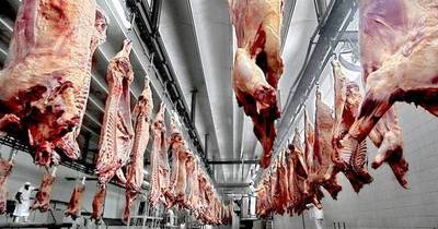 La Nación / Destacan récord histórico de exportaciones de carne vacuna paraguaya