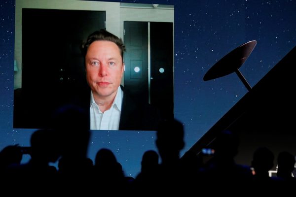 Brasil busca un acuerdo con Elon Musk para llevar internet a la Amazonía remota - MarketData